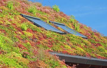 Wickham Market living roof systems